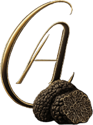 logo 250y